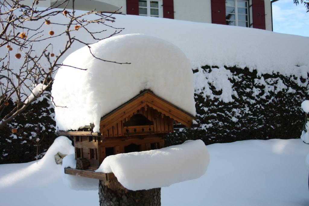 Pension Wendelstein มีสบาค ภายนอก รูปภาพ
