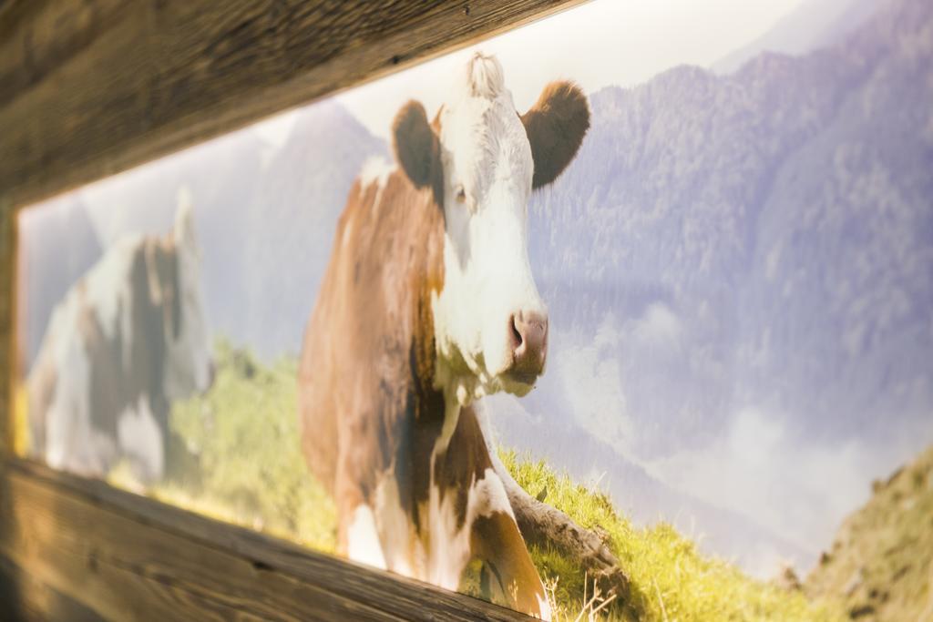 Pension Wendelstein มีสบาค ภายนอก รูปภาพ